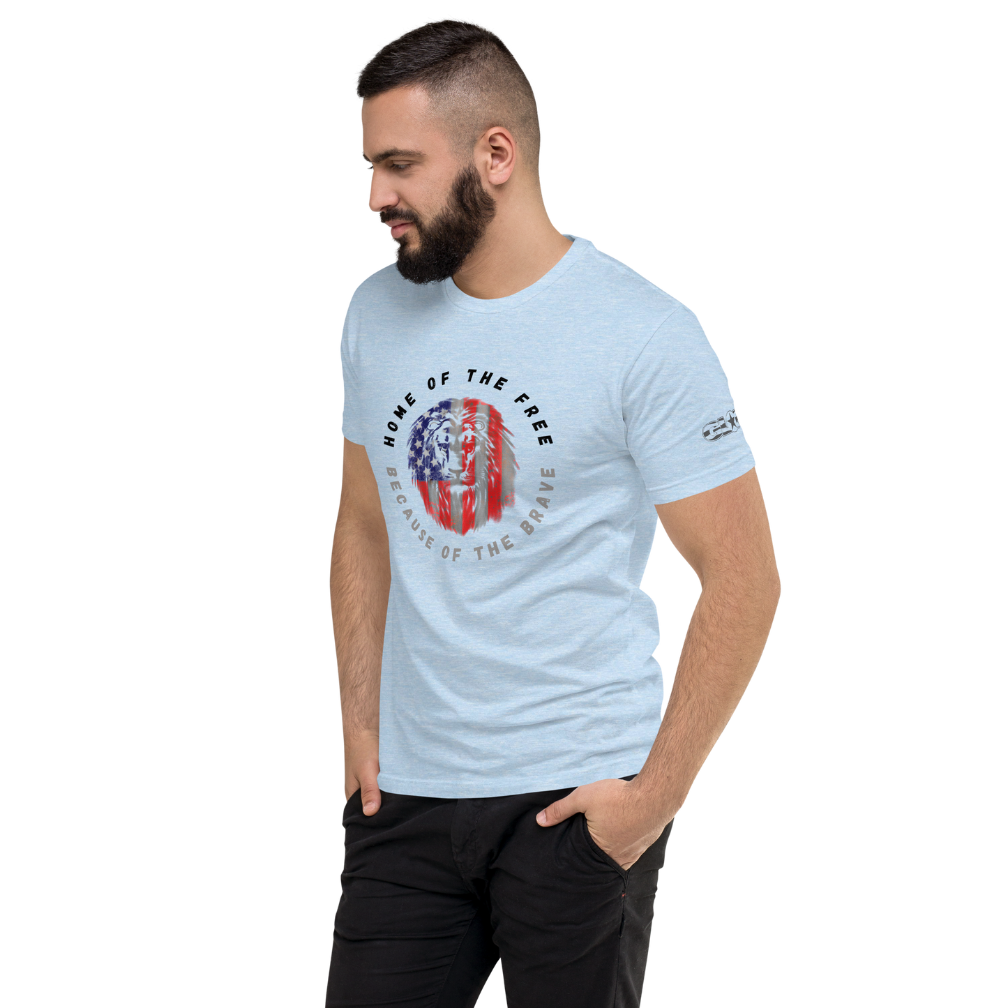 Patriotic Lion Men's Fitted T-shirt